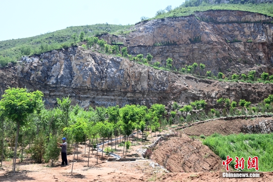 圖為7月13日，工作人員對該礦山上的植物進行管護。 中新社記者 翟羽佳 攝